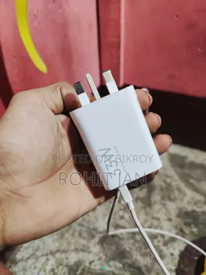 শাওমি ৩৩ ডব্লিউ অরিজিনাল চার্জার