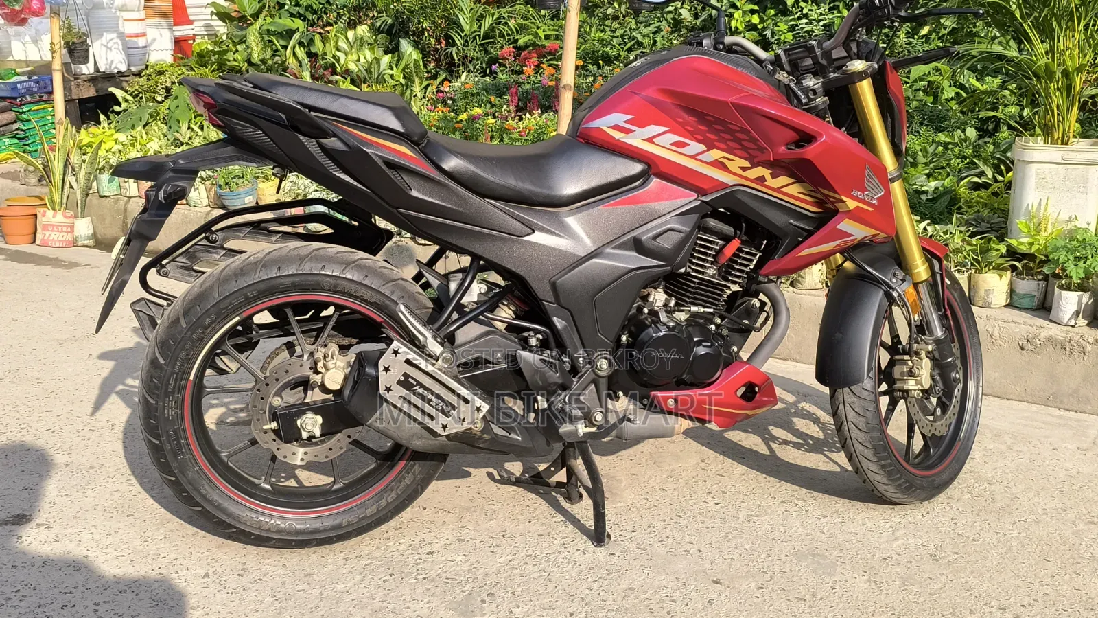 Honda Hornet 2.0 2024 Red