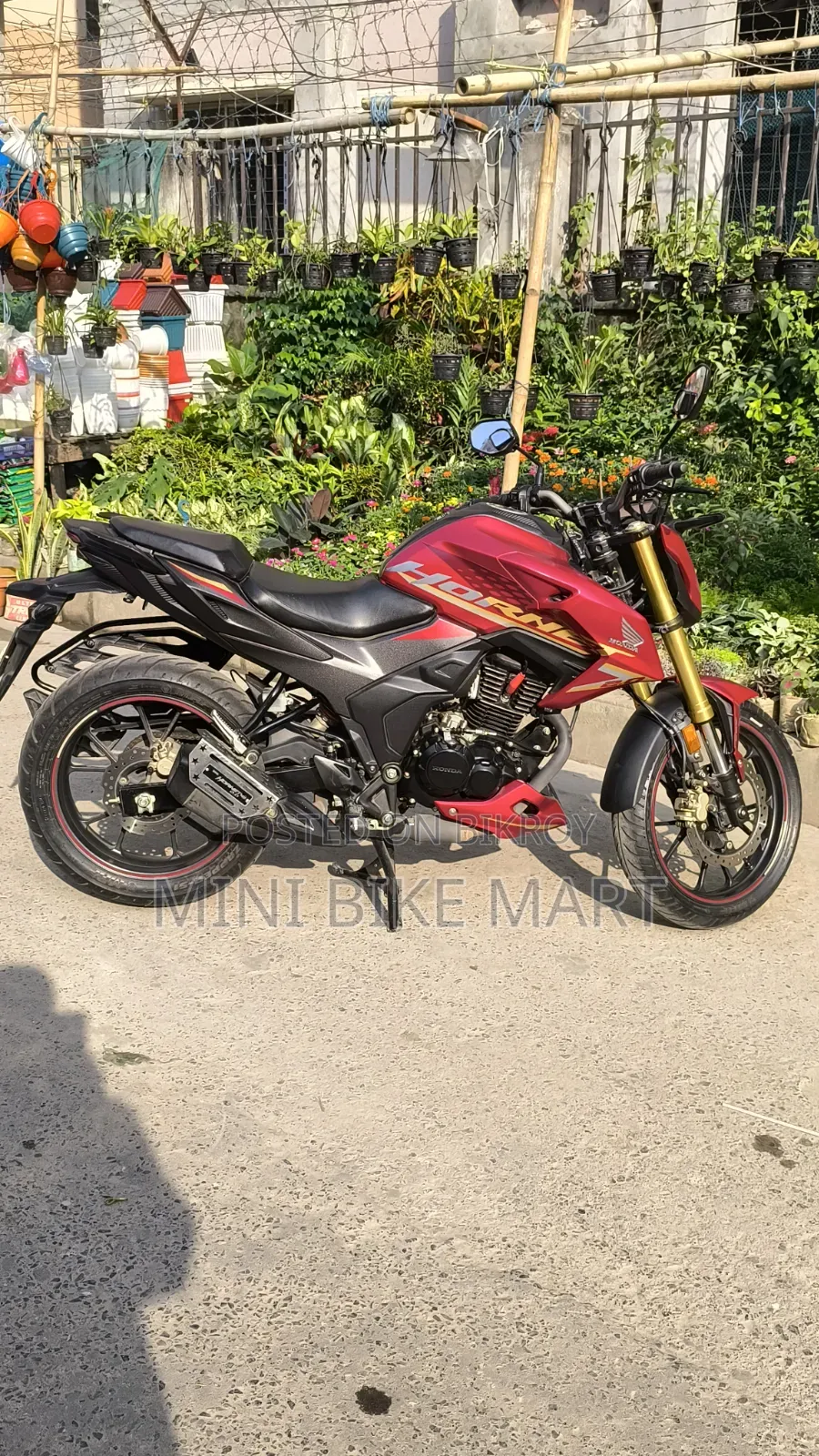 Honda Hornet 2.0 2024 Red