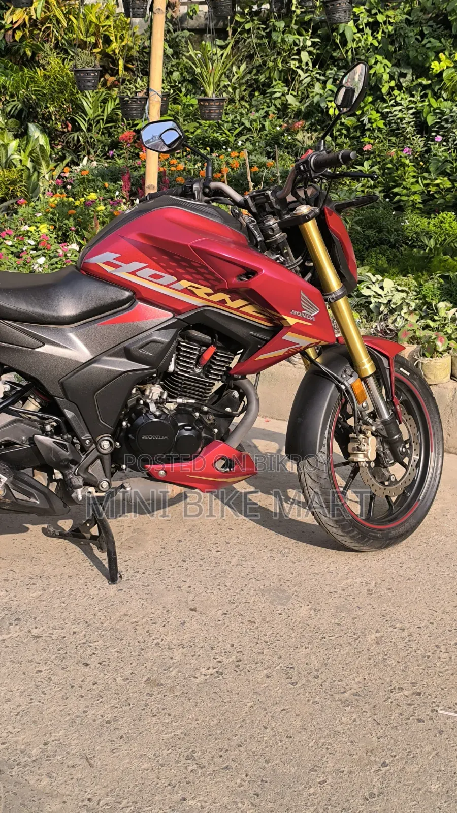 Honda Hornet 2.0 2024 Red