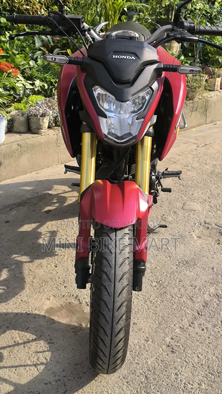 Honda Hornet 2.0 2024 Red
