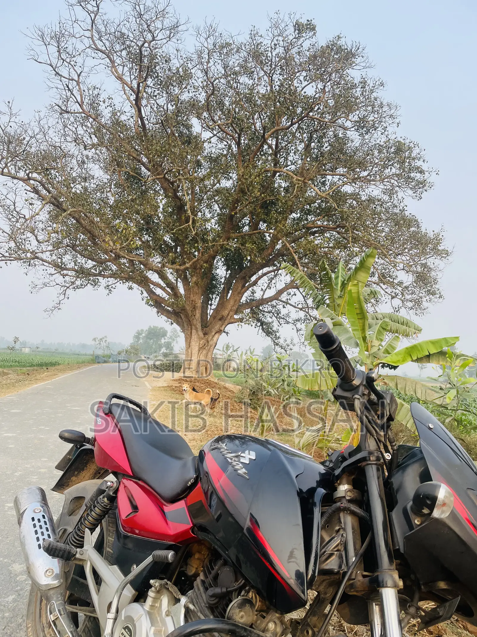 New Bajaj Pulsar 150 2017 Red