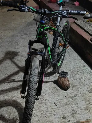 সাইকেল বাইসাইকেল