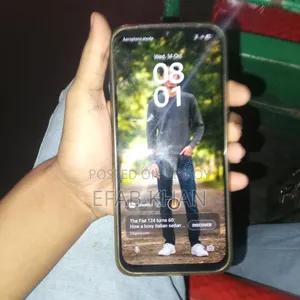শাওমি ১৪ ২৫৬ জিবি পিংক