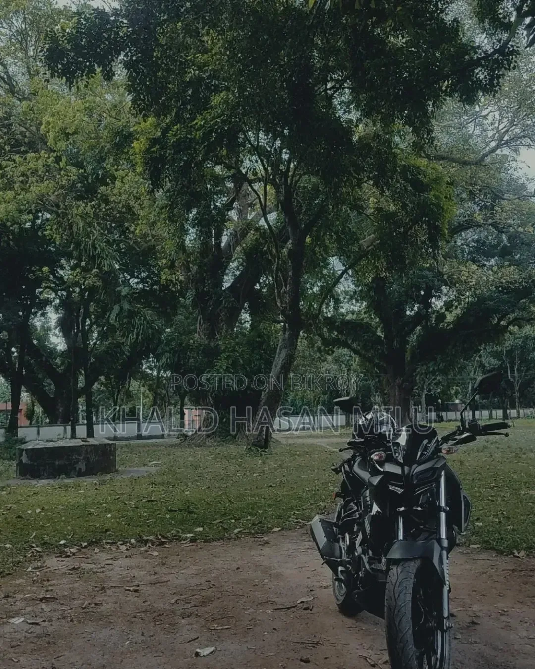 Yamaha MT-15 2019 Black