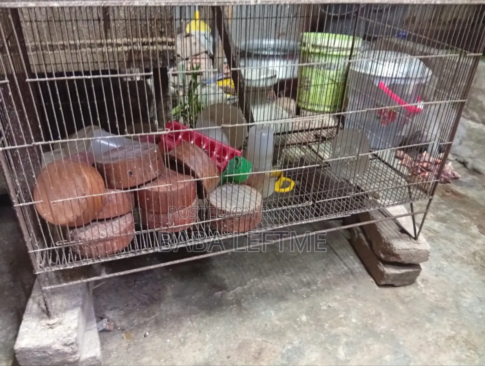 2 pcs cage size 18/36