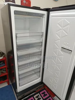 Walton Vertical Deep Freezer 272L WUE-2G2-GEPB-XX (Inverter)