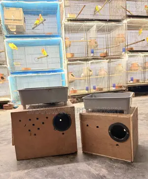 Breeding Box for Birds