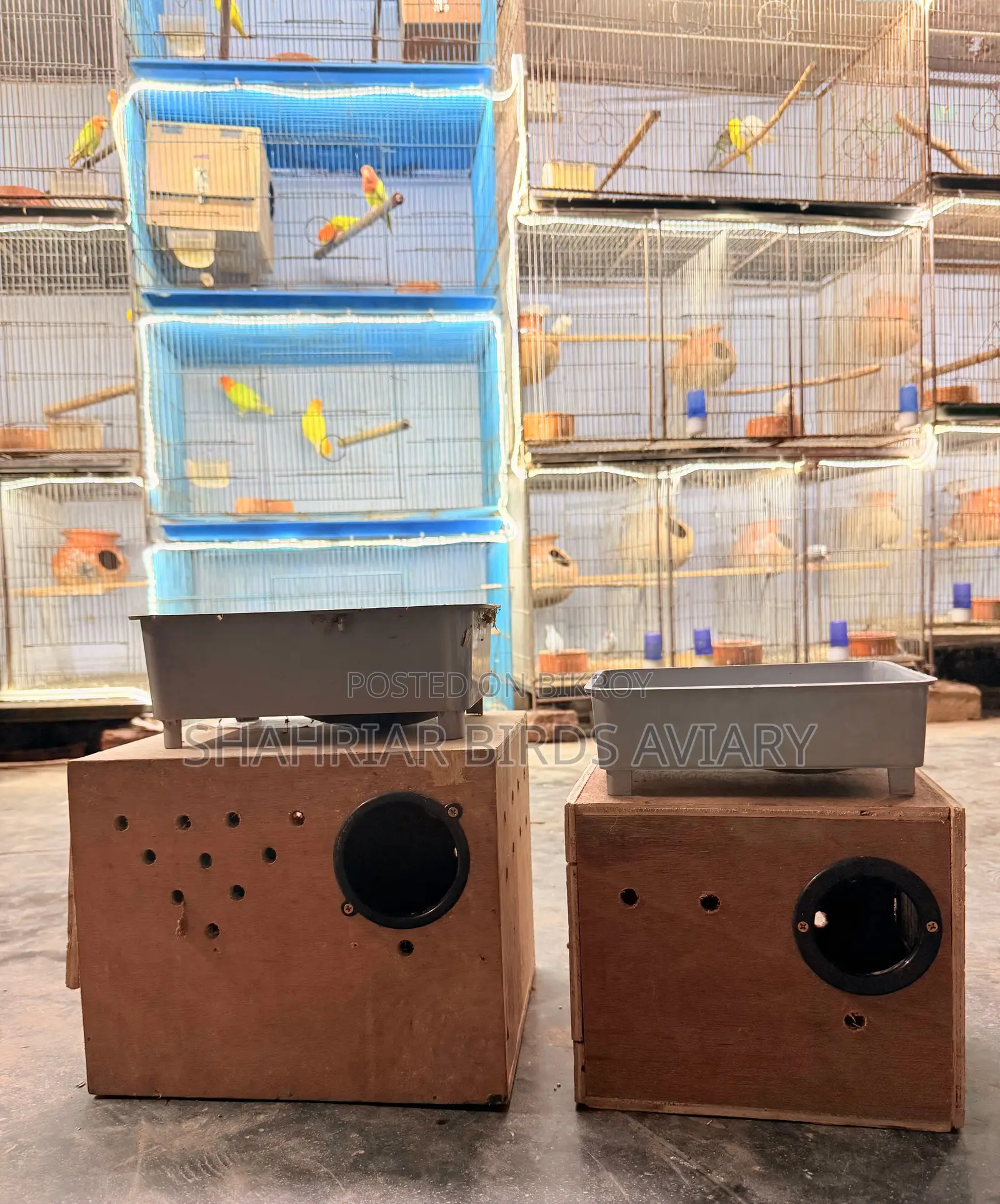 Breeding Box for Birds