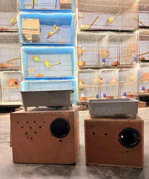 Breeding Box for Birds