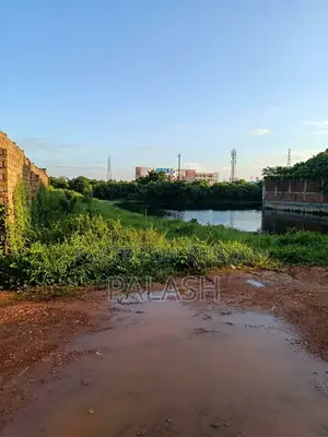 ৫৩ শতাংশ জমি বিক্রি হবে