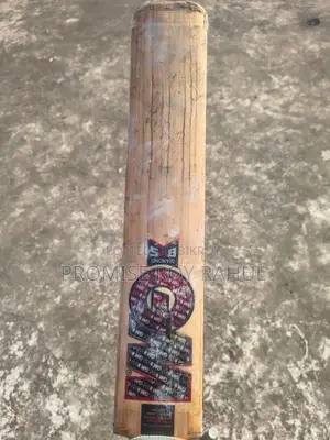 GM Leather or Cricket Ball Bat.