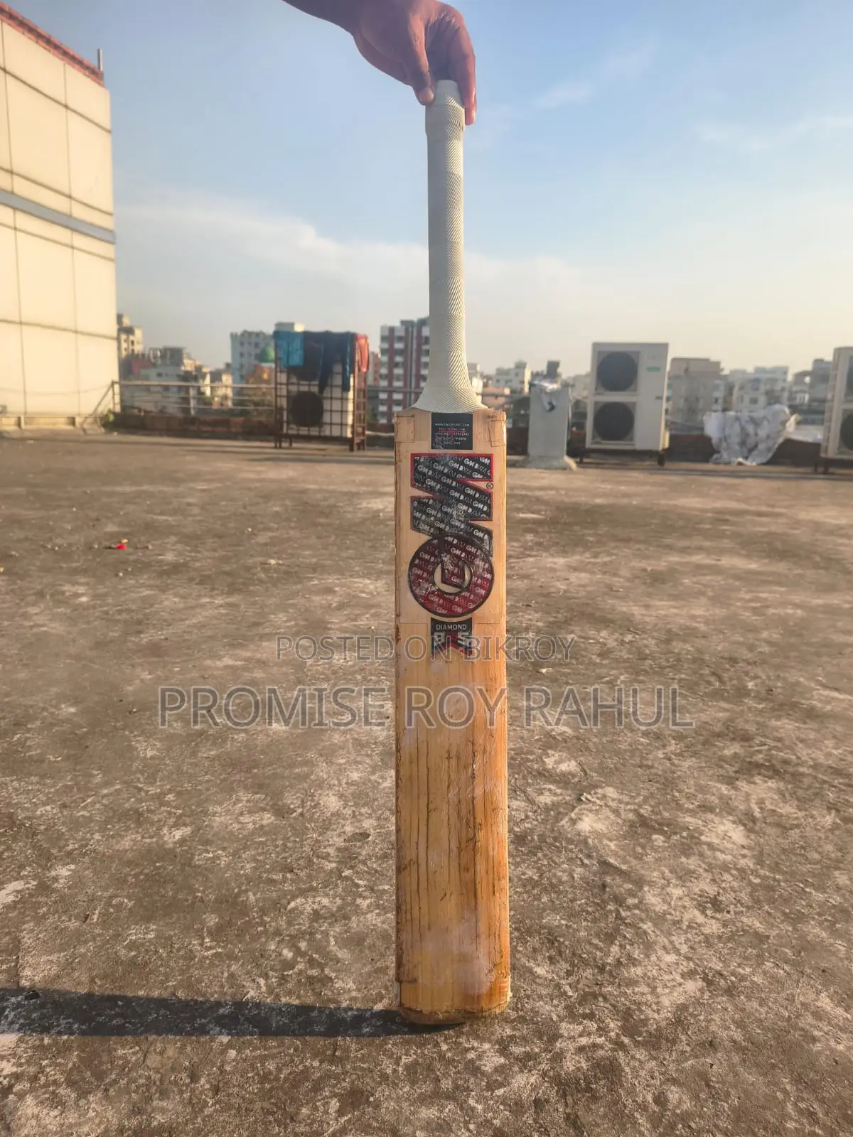 GM Leather or Cricket Ball Bat.
