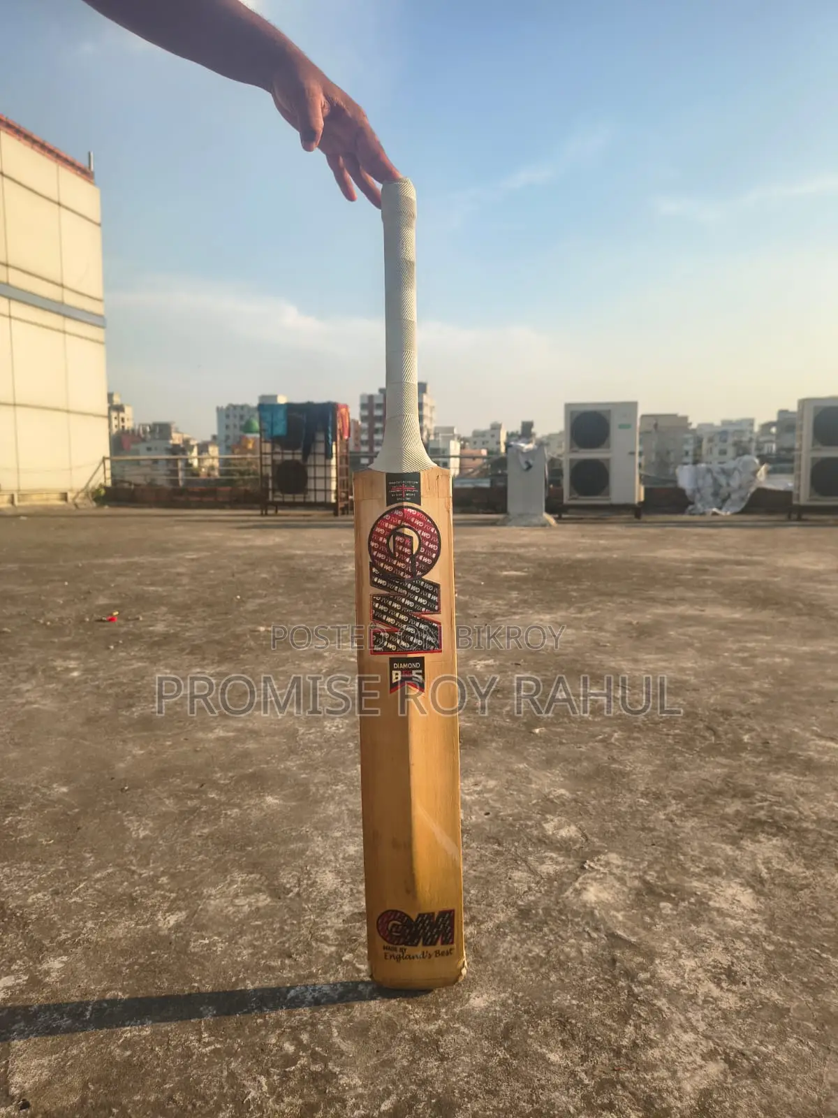 GM Leather or Cricket Ball Bat.