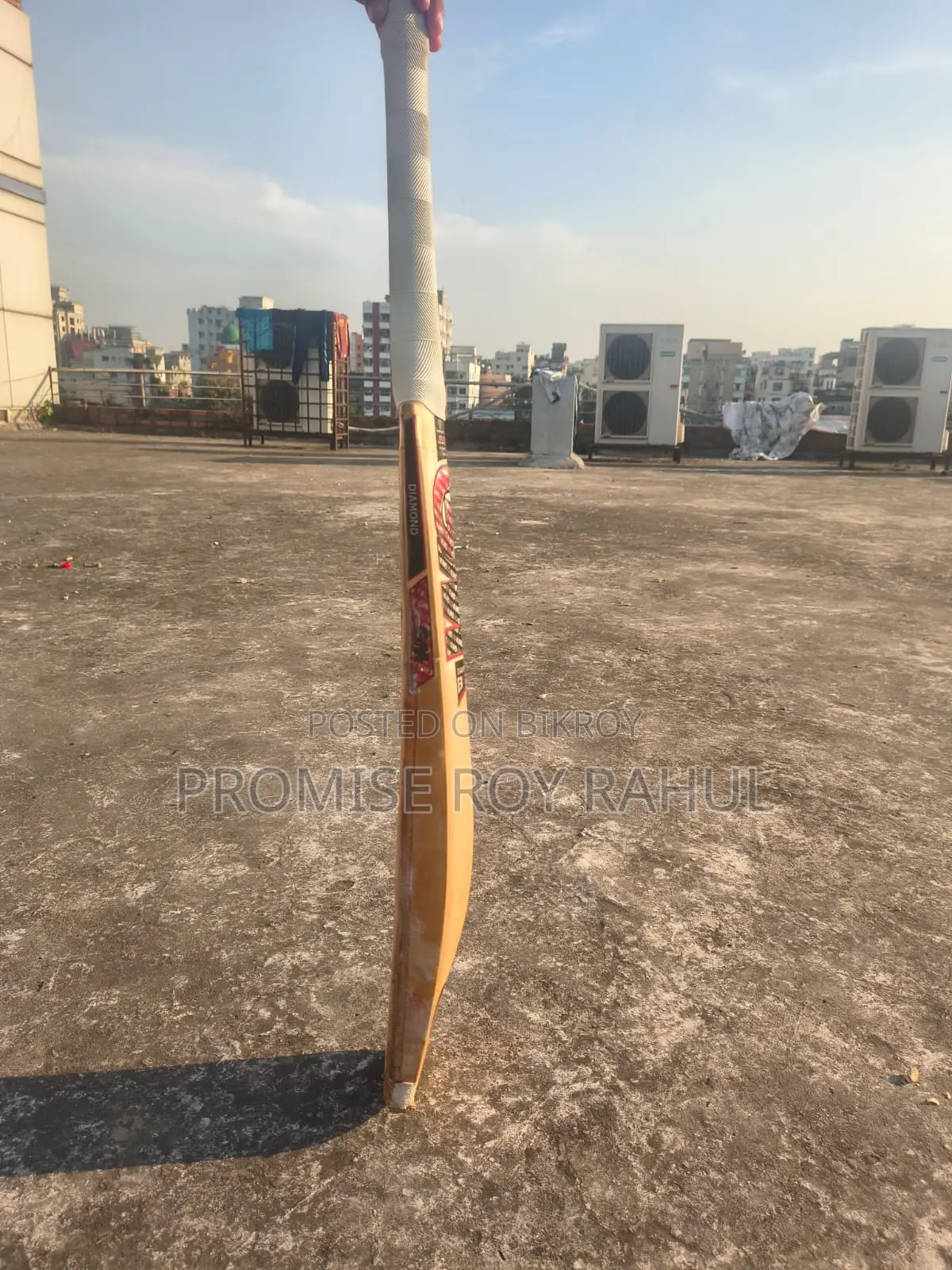 GM Leather or Cricket Ball Bat.