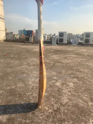 GM Leather or Cricket Ball Bat.