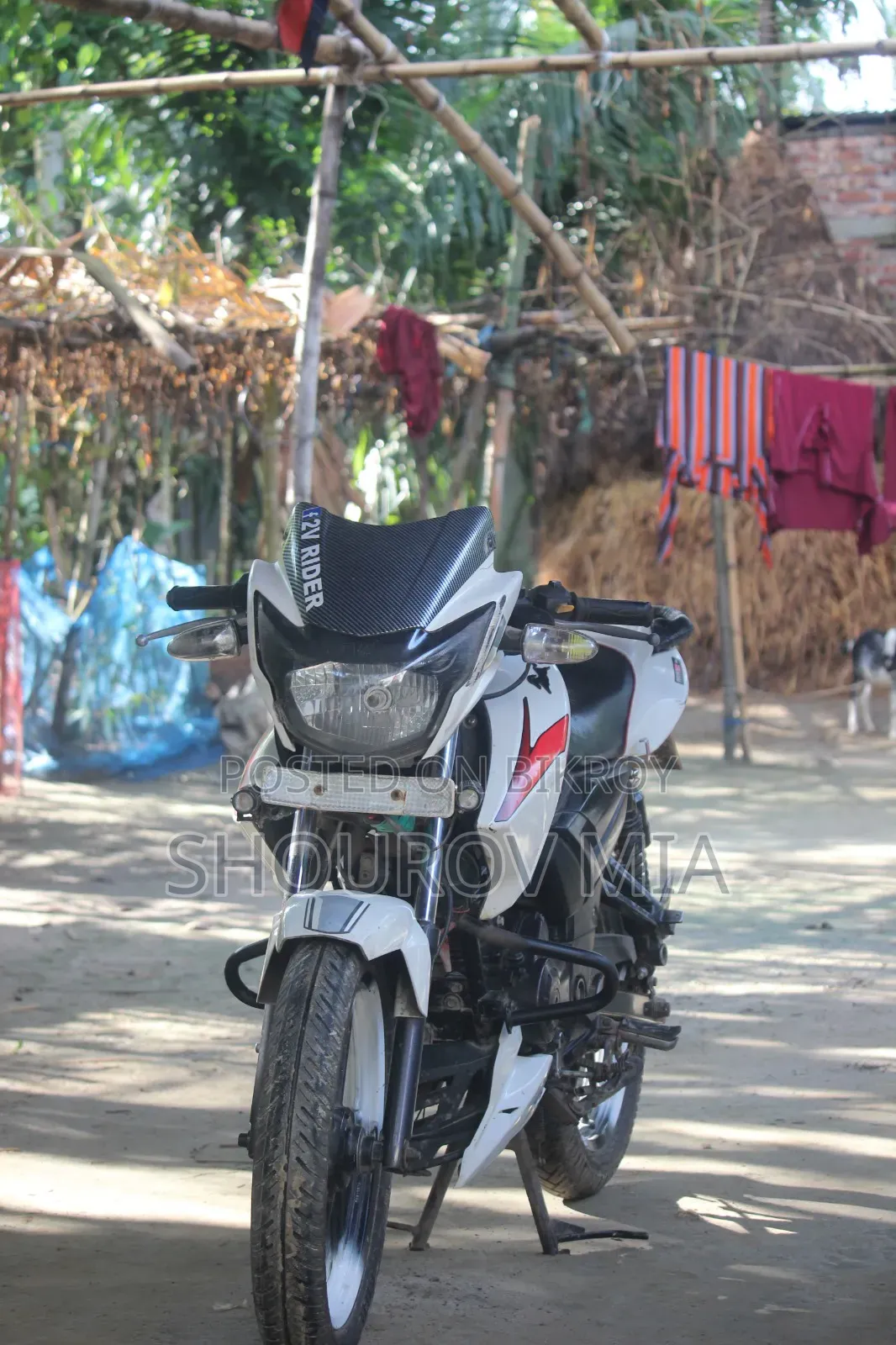 TVS Apache RTR 160 2V 2018 White