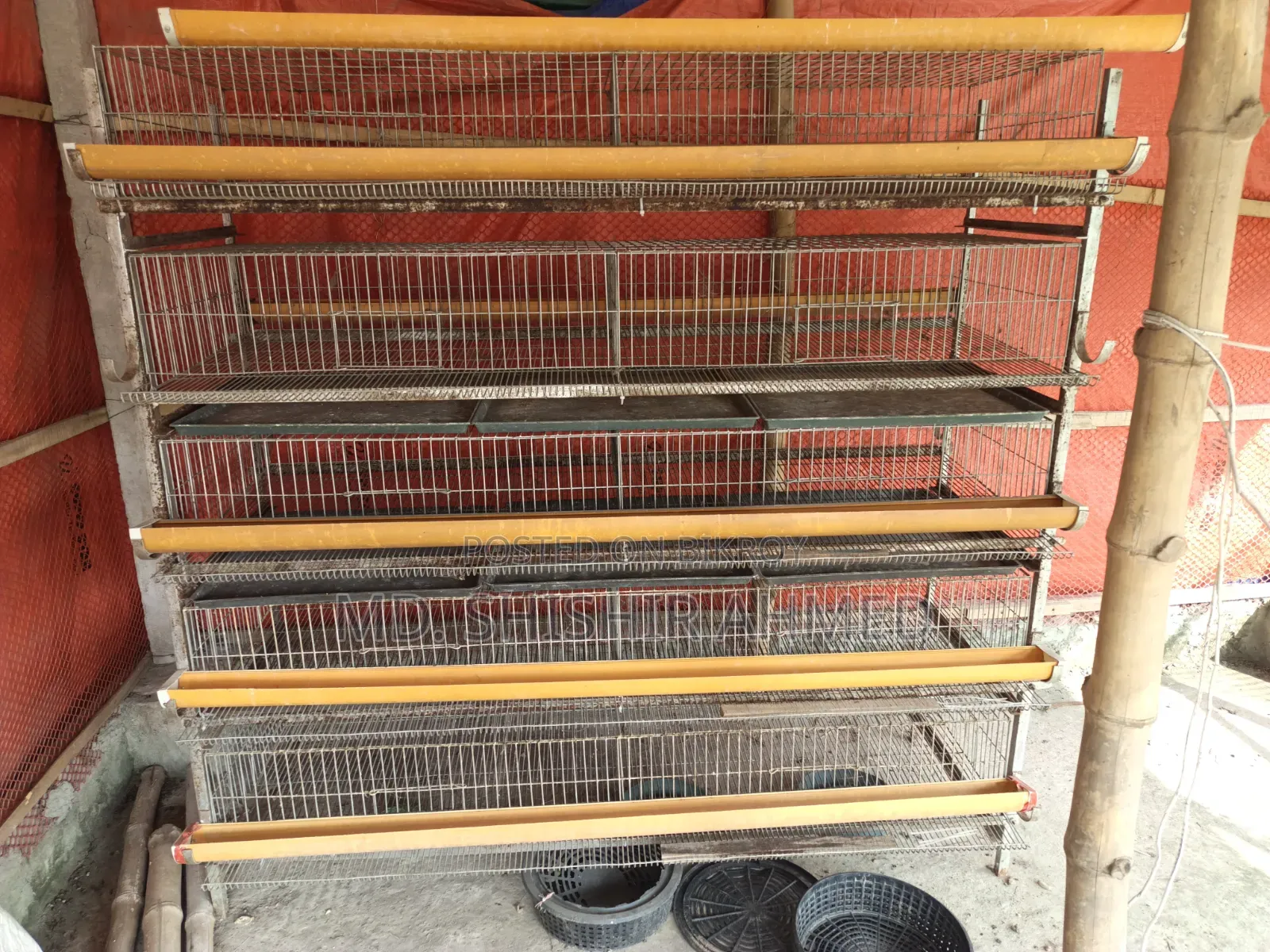 Birdcage