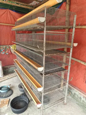 Birdcage