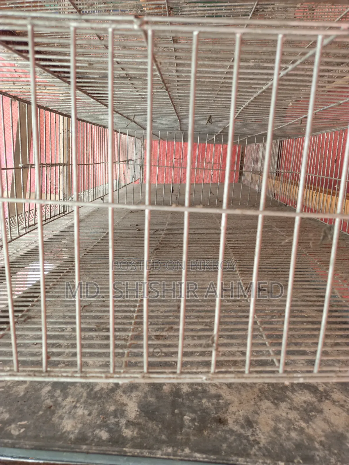 Birdcage