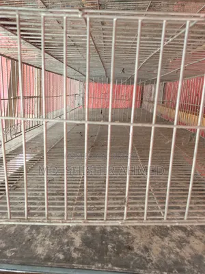 Birdcage