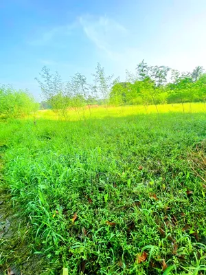 Only 6.6 Lakh per Katha, 4 Lakh per Shotangsho, high rental demand area, wide road