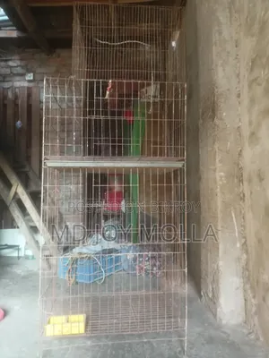 Cage for sale