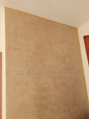 Professional Rong O Skim Coat Mistri - Dhaka