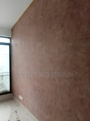 Professional Rong O Skim Coat Mistri - Dhaka