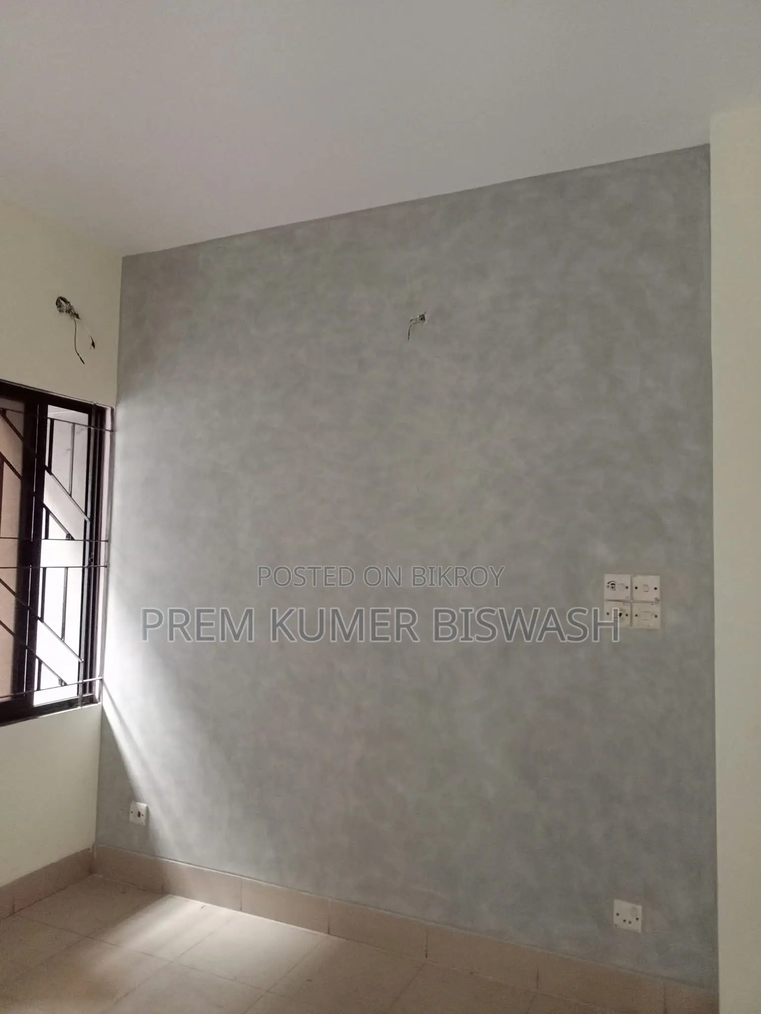 Professional Rong O Skim Coat Mistri - Dhaka