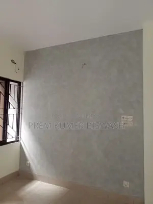Professional Rong O Skim Coat Mistri - Dhaka