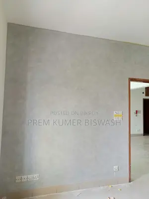 Professional Rong O Skim Coat Mistri - Dhaka
