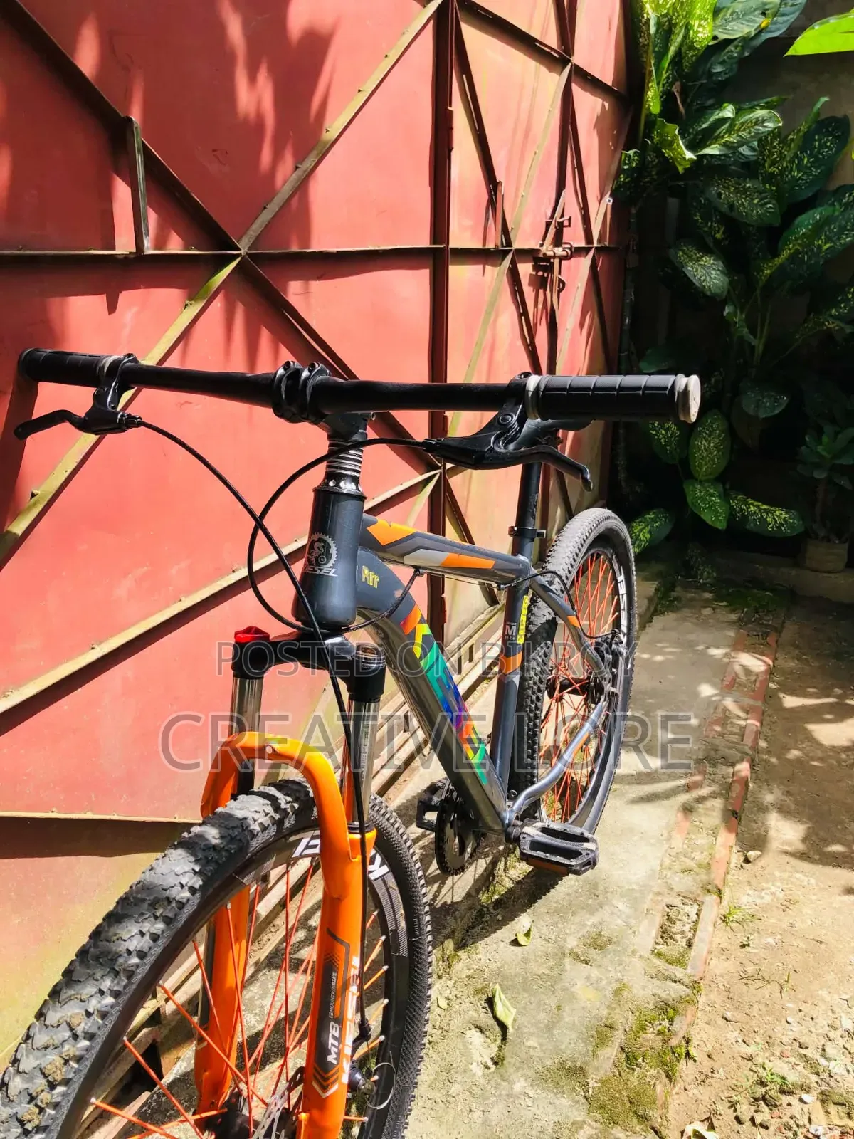 Bicycle Sale