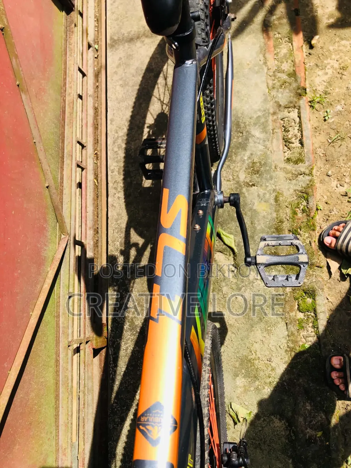 Bicycle Sale