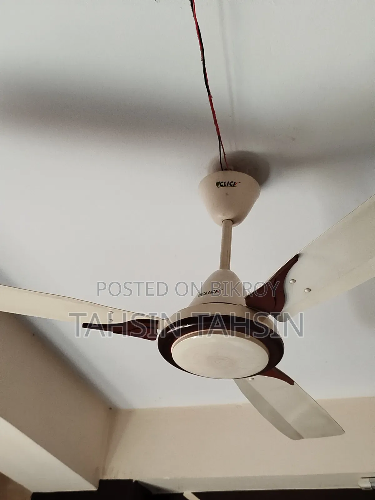 Ceiling Fan