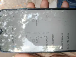 Vivo Y17 256 GB Blue