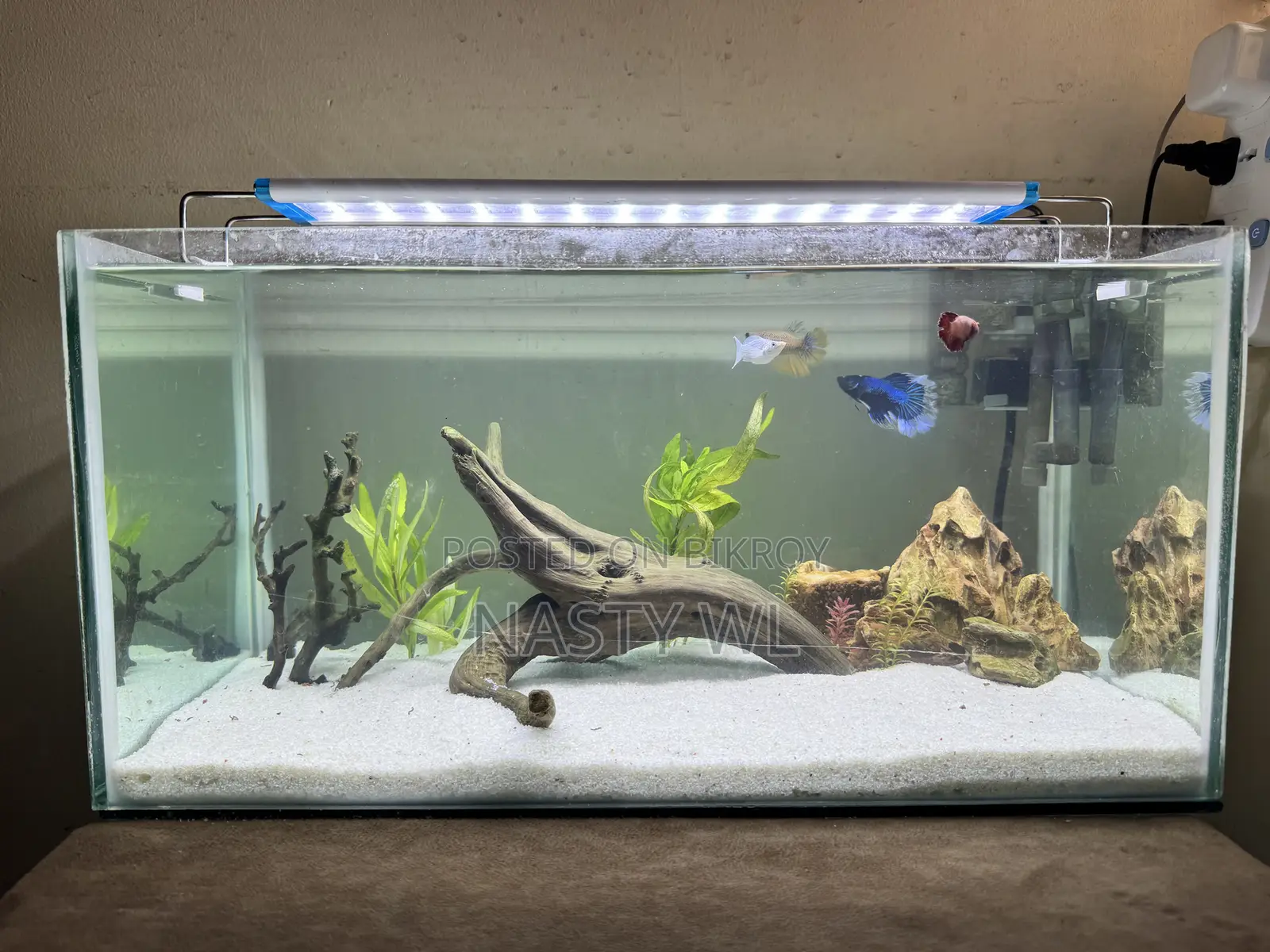 Aquarium Fish Tank