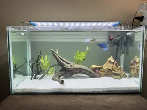 Aquarium Fish Tank