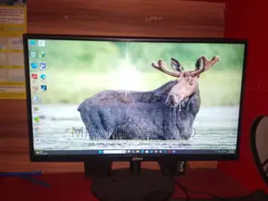২২ ইঞ্চি মনিটর