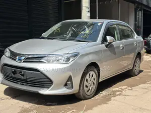 Toyota Axio 2021 Silver