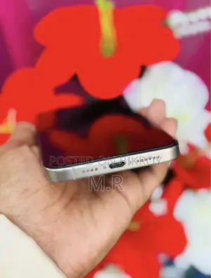 অ্যাপল আইফোন ১৫ প্রো ম্যাক্স ২৫৬ জিবি সিলভার