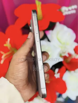 অ্যাপল আইফোন ১৫ প্রো ম্যাক্স ২৫৬ জিবি সিলভার
