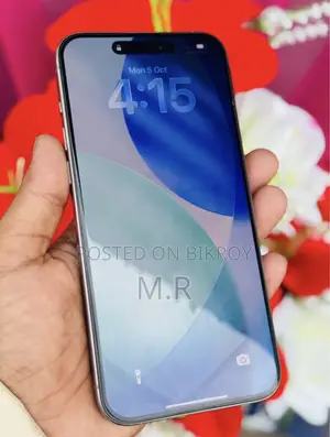 অ্যাপল আইফোন ১৫ প্রো ম্যাক্স ২৫৬ জিবি সিলভার