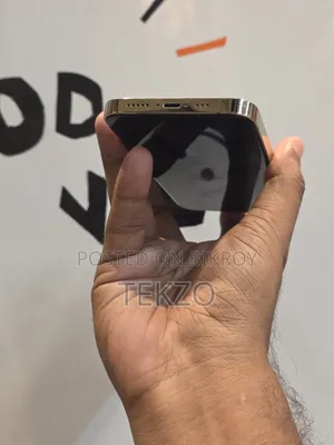 অ্যাপল আইফোন ১৩ প্রো ২৫৬ জিবি গোল্ড