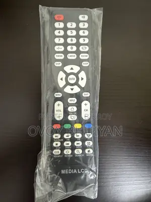 SONY 24 Inch TV