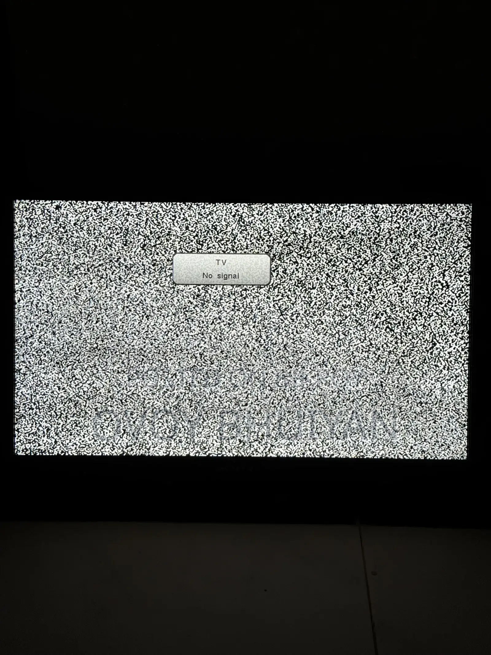 SONY 24 Inch TV