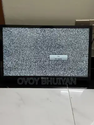 SONY 24 Inch TV