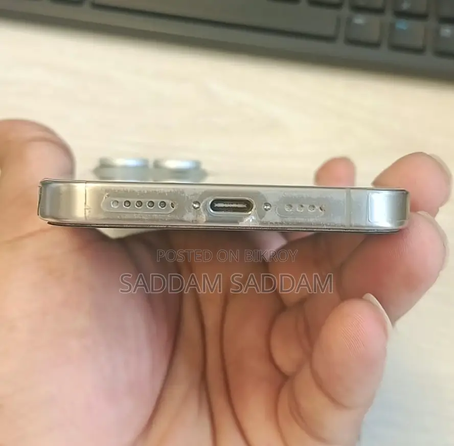 Apple iPhone 15 Pro Max 256 GB Gray