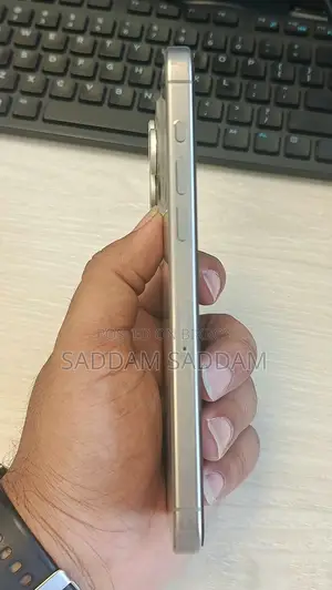 Apple iPhone 15 Pro Max 256 GB Gray