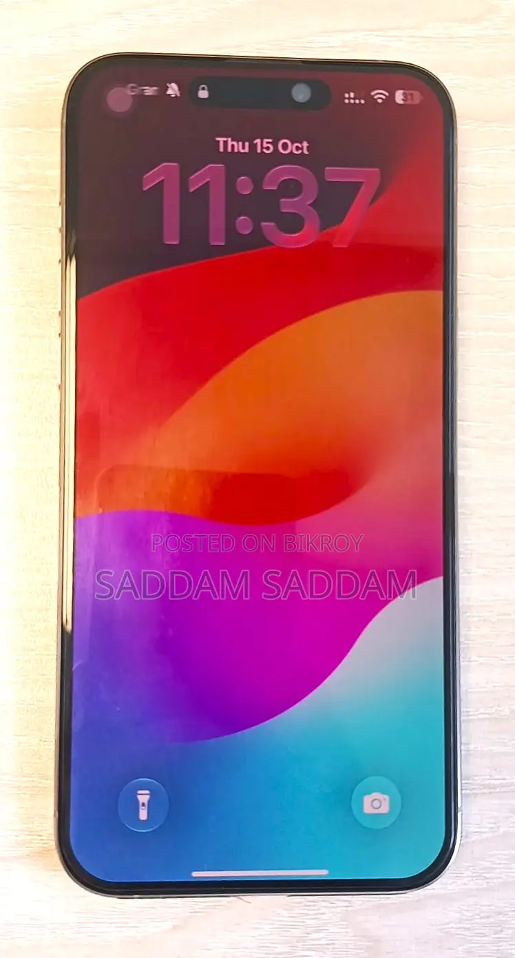 Apple iPhone 15 Pro Max 256 GB Gray